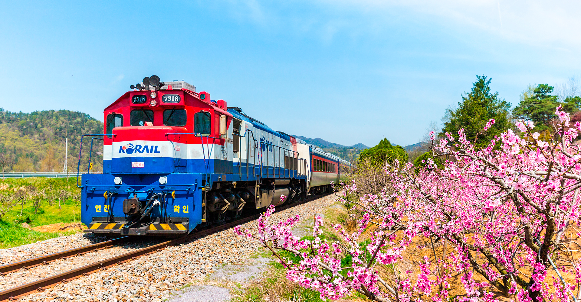 마켓플레이스 메인이미지